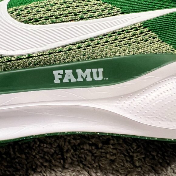 NIKE PEGASUS 41, FAMU SZ 10.5 - Picture 8 of 8